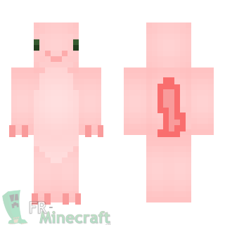 Aperçu de la skin Minecraft Axolotl